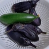 真夏野菜